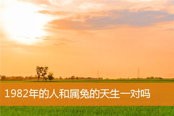 林珈安的姓名打分结果_林珈安五行分析