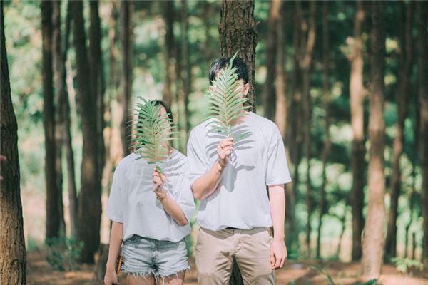 曾培洪的姓名打分结果_曾培洪的姓名五行分析