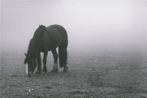 林宪铭的姓名打分结果_林宪铭五行分析